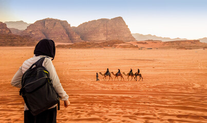 jordan, wadi rum. caravan of camels with drovers in the desert, rock mountains at sunset. tourist fr