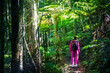 hiker girl walking through dense rainforest full of tropical plants; dorrigo national park in new south wales, australia, between brisbane and sydney, australian rainforest in northern tablelands