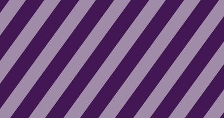 Wall Mural - seamless loop abstract striped animation. 4k resolution. purple and white line swipe transitions mot