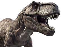 Tyrannosaurus Rex Dinosaur Isolated