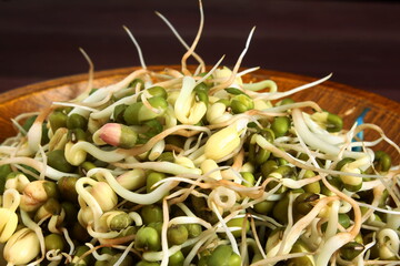 Wall Mural - heap of sprouted green mung or moong beans also known as green gram beans for indian gujarati food or salad