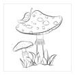 Amanita mushroom (lat. amanita verna) vector coloring page for children in black lines. Beautiful drawing.