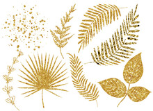Set Of Gold Leaves Of Trees, Metal Twigs With Glittering Leaves Of Abstract Plants, Palm Trees, Ferns, Splashes Of Gold, A Spatter Of Gold Elements