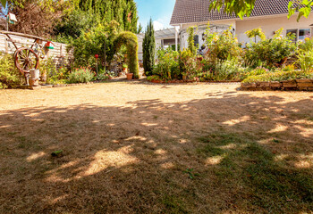 lawn in garden dry and dead. pests and disease and sun cause amount of damage to green lawns. landsc