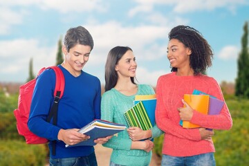 Wall Mural - Group of young happy student walking at university