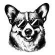 funny corgi dog wearing sunglasses, summer vibe sketch