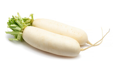 Fresh white radish