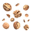 Falling walnuts isolated on transparent png