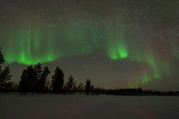 Wall Mural - northern lights aurora borealis lapland night landscape