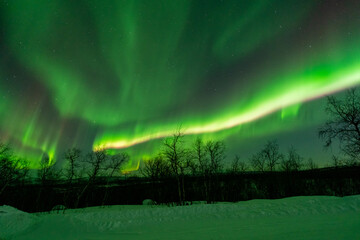 Wall Mural - aurora borealis northern lights lapland night landscape