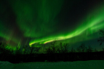 Wall Mural - aurora borealis northern lights lapland night landscape