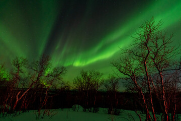 Wall Mural - aurora borealis northern lights lapland night landscape