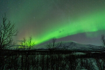 Wall Mural - aurora borealis northern lights lapland night landscape