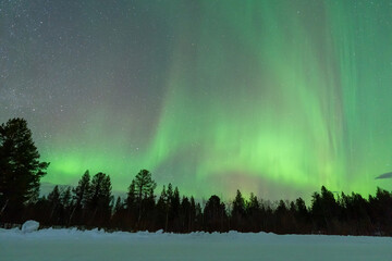 Wall Mural - aurora borealis northern lights lapland night landscape