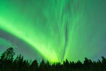 Wall Mural - aurora borealis northern lights lapland night landscape