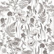 Seamless vector pattern wild flowers in engraving style. Poppy, chamomile, fern, clover