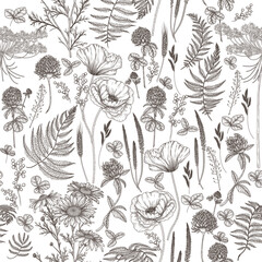 Seamless vector pattern wild flowers in engraving style. Poppy, chamomile, fern, clover