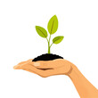 © Oleh - Hands holding a sprout. Eco sprout in hands. Ecological concept. Small tree in the trees vector illustration.