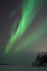 Wall Mural - aurora boreal northern lights in lapland