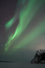 Wall Mural - aurora boreal northern lights in lapland