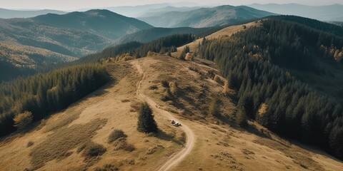 Poster - A view from a height of a mountain peak with green trees in the fog.Aerial view. Panoramic shot. Generative AI
