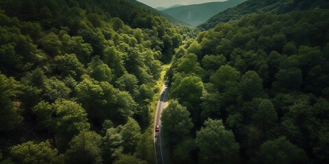 Poster - Bird's-eye view of the road in the middle of the forest.Aerial view. Panoramic shot. Generative AI