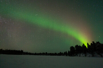 Wall Mural - aurora boreal northern light swedish lapland abisko