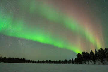 Wall Mural - aurora boreal northern light swedish lapland abisko