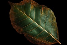 A Beautiful Green Leaf Of A Tree With Orange Spots And Veins. Generative AI