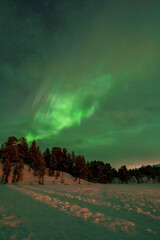 Wall Mural - aurora boreal northern light swedish lapland abisko