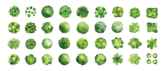 various green trees, bushes and shrubs, top view for landscape design plan. vector watercolor illust