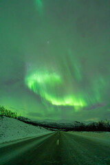Wall Mural - aurora boreal northern light swedish lapland abisko
