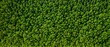 green forest texture top view banner Generative AI