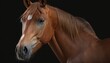 © Hixel - Portrait of beautiful young horse generative ai