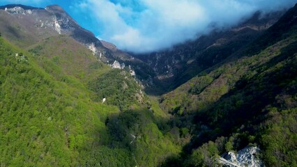 Wall Mural - Elevated Horizons: Majestic Mountains and Azure Skies in the Forestscape