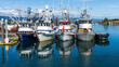 USA, Alaska, Homer. Fishing boats at marina.