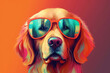 Cute Golden Retriever wearing Sunglasses, Colorful Yellow Background, AI-Generated Image