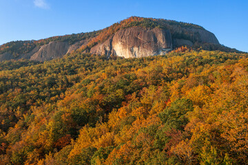 Wall Mural - Pisgah National Forest, North Carolina, USA at Looking Glass Rock d