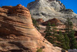 striated rock formations sedimentary rock layers in Zion National Park