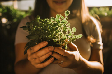 Wall Mural - Woman presenting a plant crop, hands holding a natural produce. High quality generative ai