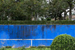 Trees and plants in a garden. Blue weathered moldy wall outside