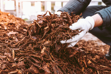 Recycling and sustainability