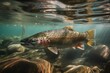 Rainbow and brown trout swimming in mountain lake waters. Generative AI