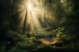 Fototapeta Las - Sun rays shining in a verdant forest. Generative AI