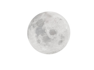 Wall Mural - look at the big round full moon shining in the night sky.