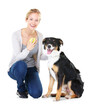 © Harsh/peopleimages.com - Happy, portrait and woman with dog and tennis ball playing on isolated, transparent and png background. Face, pet and female relax with border collie puppy and toy for training, games and having fun