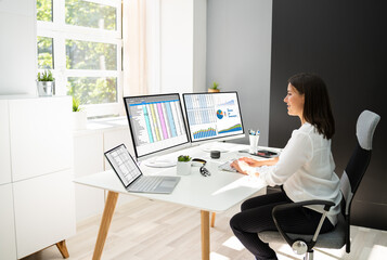 Poster - Analyst Working With Spreadsheet Business Data
