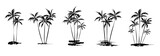 Fototapeta  - Palm trees. Textured ink brush drawing