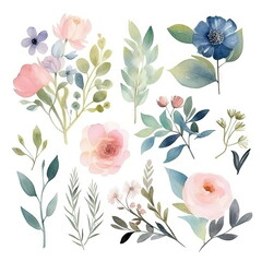 Wall Mural - Watercolor floral illustration bouquet set collection, wedding stationary, flower background