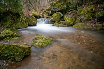 Sticker - Landscape of a tranquil river with long exposure in a forest covered in the snow